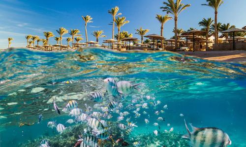 Marsa Alam